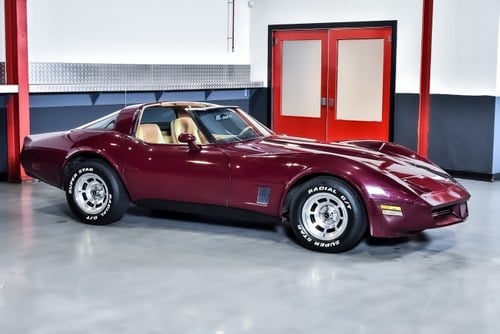 1981 Chevrolet Corvette C3 Targa In vendita (immagine 6 di 86)