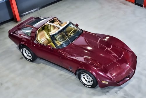 1981 Chevrolet Corvette C3 Targa In vendita (immagine 11 di 86)