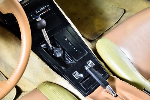 1981 Chevrolet Corvette C3 Targa In vendita (immagine 38 di 86)