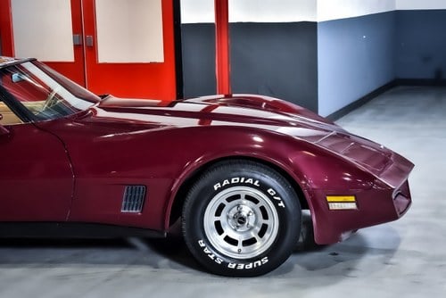 1981 Chevrolet Corvette C3 Targa In vendita (immagine 55 di 86)