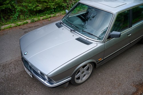 1987 BMW 525e E28 For Sale (picture 89 of 156)