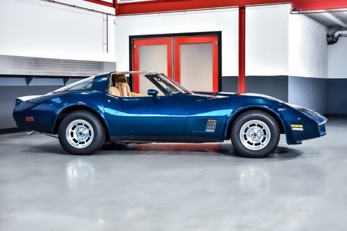 1981 Chevrolet Corvette C3 Targa 350CI V8 "Manual" In vendita (immagine 10 di 90)