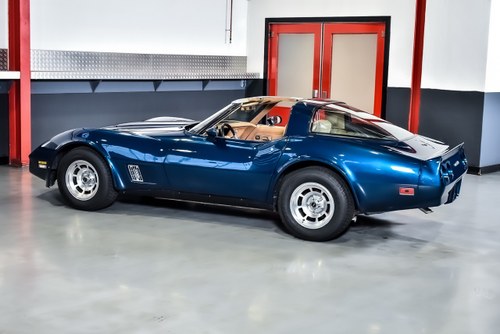 1981 Chevrolet Corvette C3 Targa 350CI V8 "Manual" In vendita (immagine 20 di 90)
