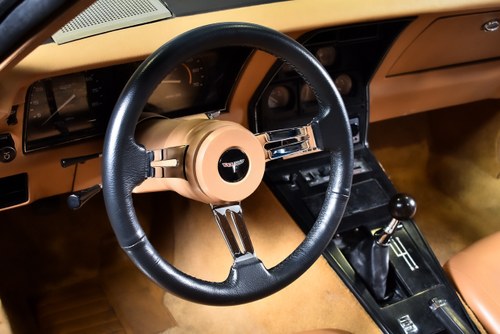 1981 Chevrolet Corvette C3 Targa 350CI V8 "Manual" In vendita (immagine 39 di 90)