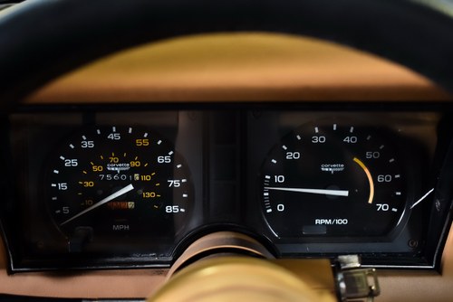 1981 Chevrolet Corvette C3 Targa 350CI V8 "Manual" In vendita (immagine 41 di 90)