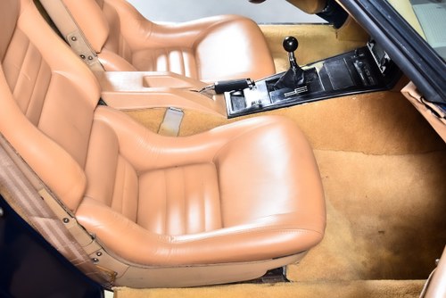 1981 Chevrolet Corvette C3 Targa 350CI V8 "Manual" In vendita (immagine 47 di 90)