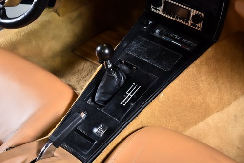 1981 Chevrolet Corvette C3 Targa 350CI V8 "Manual" In vendita (immagine 49 di 90)