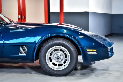 1981 Chevrolet Corvette C3 Targa 350CI V8 "Manual" In vendita (immagine 60 di 90)
