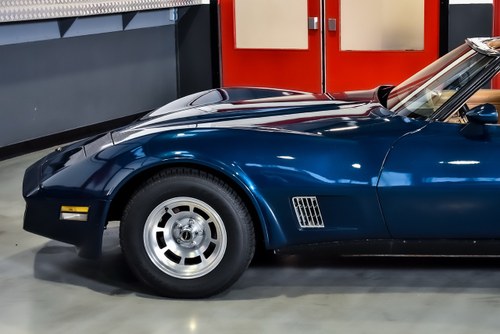 1981 Chevrolet Corvette C3 Targa 350CI V8 "Manual" In vendita (immagine 70 di 90)