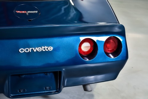 1981 Chevrolet Corvette C3 Targa 350CI V8 "Manual" In vendita (immagine 79 di 90)