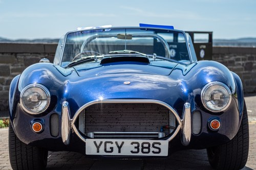 1995 Pilgrim Sumo Cobra Replica 5.4L Chevrolet 327CI V8 In vendita (immagine 60 di 104)