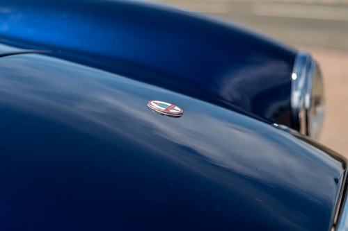 1995 Pilgrim Sumo Cobra Replica 5.4L Chevrolet 327CI V8 In vendita (immagine 63 di 104)