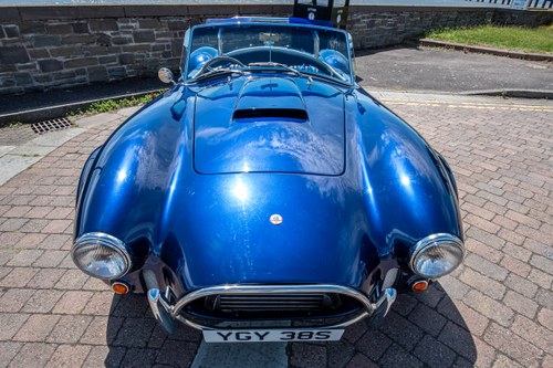 1995 Pilgrim Sumo Cobra Replica 5.4L Chevrolet 327CI V8 In vendita (immagine 15 di 104)