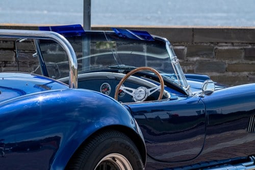 1995 Pilgrim Sumo Cobra Replica 5.4L Chevrolet 327CI V8 In vendita (immagine 8 di 104)