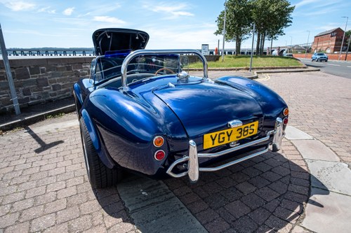 1995 Pilgrim Sumo Cobra Replica 5.4L Chevrolet 327CI V8 In vendita (immagine 24 di 104)