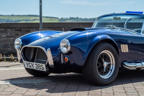 1995 Pilgrim Sumo Cobra Replica 5.4L Chevrolet 327CI V8 In vendita (immagine 57 di 104)