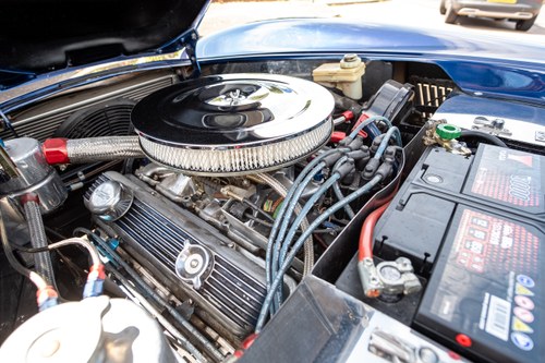 1995 Pilgrim Sumo Cobra Replica 5.4L Chevrolet 327CI V8 In vendita (immagine 87 di 104)