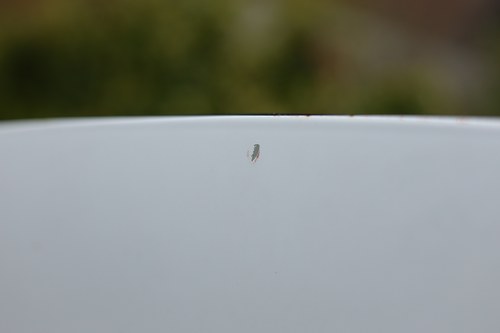 1989 Mercedes-Benz 300SL (R107) In vendita (immagine 220 di 295)