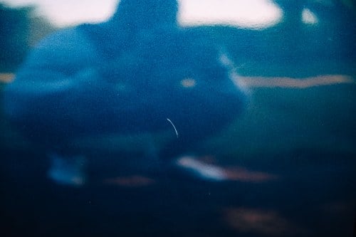 1980 Rolls-Royce Corniche FHC ‘2 Door Saloon’ Series 2 In vendita (immagine 84 di 161)