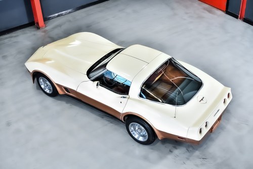 1981 Chevrolet Corvette C3 Targa Manual à vendre (picture 16 of 90)