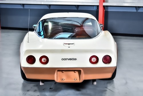 1981 Chevrolet Corvette C3 Targa Manual à vendre (picture 30 of 90)