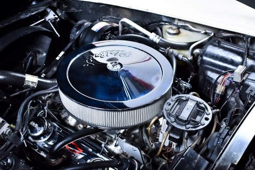 1981 Chevrolet Corvette C3 Targa Manual à vendre (picture 82 of 90)