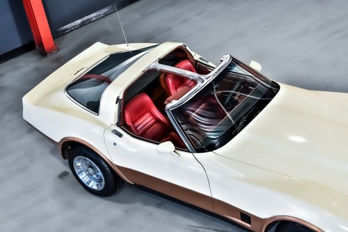 1981 Chevrolet Corvette C3 Targa Manual à vendre (picture 66 of 90)