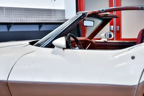 1981 Chevrolet Corvette C3 Targa Manual à vendre (picture 67 of 90)