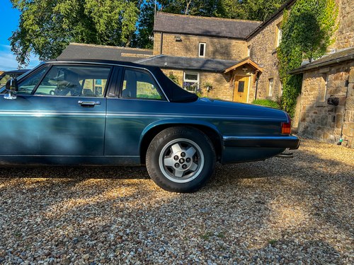 1986 Jaguar XJ-SC V12 Cabriolet In vendita (immagine 150 di 295)