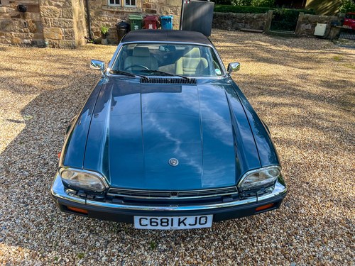 1986 Jaguar XJ-SC V12 Cabriolet In vendita (immagine 224 di 295)