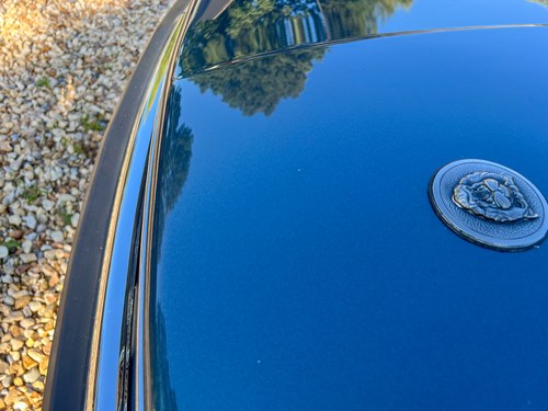 1986 Jaguar XJ-SC V12 Cabriolet In vendita (immagine 226 di 295)