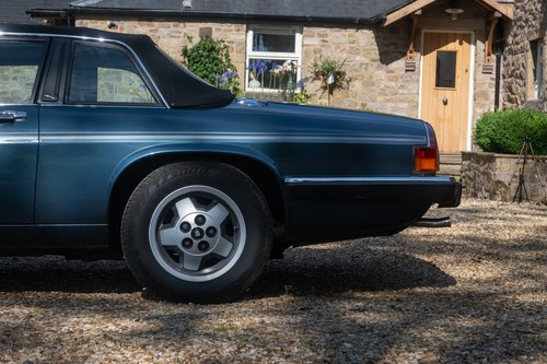 1986 Jaguar XJ-SC V12 Cabriolet In vendita (immagine 228 di 295)