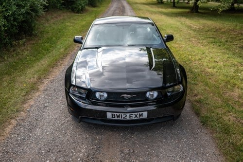 2012 Ford Mustang GT zum Verkauf (Bild 10 von 218)
