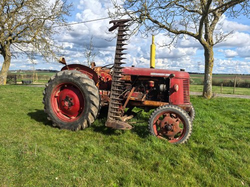 1956 DAVID BROWN 25 25D À venda