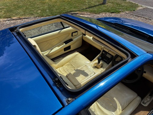 1990 Lotus Esprit Turbo SE à vendre (picture 72 of 122)