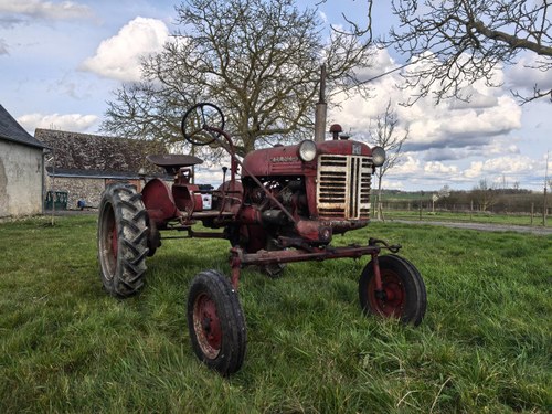 1952 FARMALL Cub C-60 Kaufen Bei