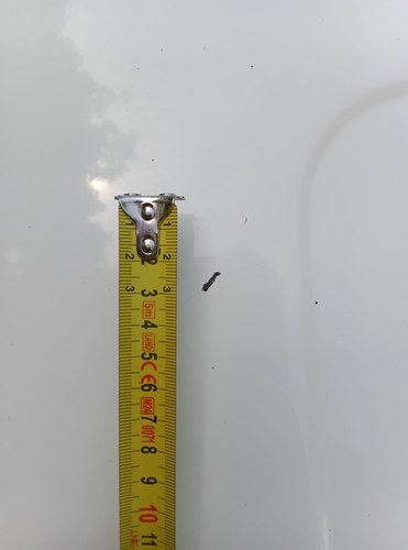 1976 Peugeot 304 Berline In vendita (immagine 24 di 36)