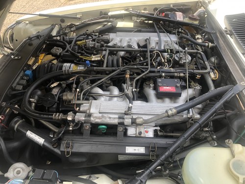 1988 Jaguar XJS-C V12 JaguarSport Cabriolet In vendita (immagine 65 di 74)