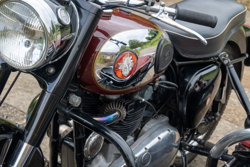 1958 BSA Golden Flash Steib Sidecar Combination For Sale (picture 53 of 125)