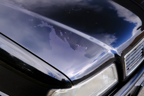 1993 Audi 80 2.8 E Quattro B4 (Typ 8C) zum Verkauf (Bild 8 von 340)