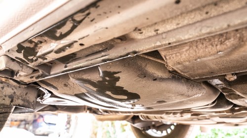 2000 BMW 525iSE Auto (E39) In vendita (immagine 225 di 250)