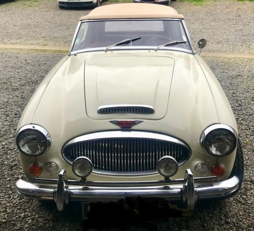 1967 AUSTIN HEALEY 3000 For Sale