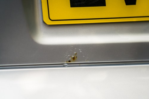 2003 Maserati Spyder CambioCorsa For Sale (picture 107 of 167)