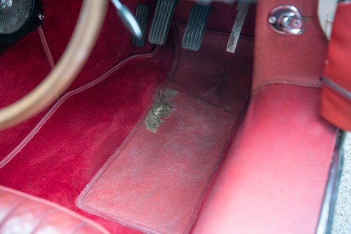 1964 Jaguar E-Type Series 1 4.2 FHC In vendita (immagine 49 di 197)