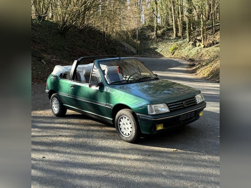 1991 PEUGEOT 205 Roland Garros