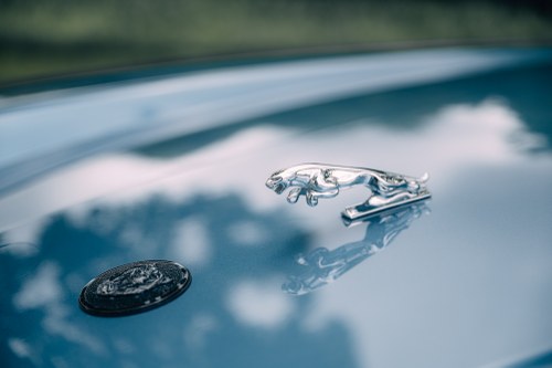 1988 Jaguar XJS Convertible En venta (imagen 90 de 180)