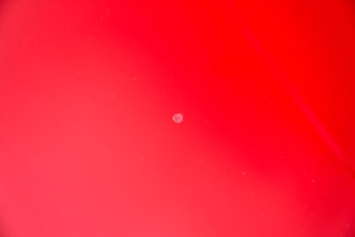 1993 Mercedes-Benz W140 600SEC V12 Te koop (foto 157 van 189)