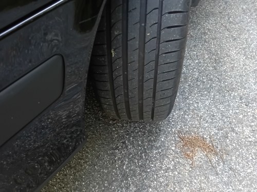 2000 Saab 9-5 2.0 SE Estate Manual In vendita (immagine 82 di 113)