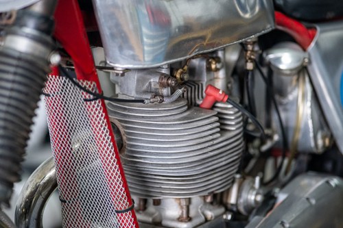 1960 BSA Gold Star 500 Scrambler à vendre (picture 87 of 87)