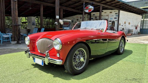 1954 AUSTIN HEALEY 100 BN1 A vendre